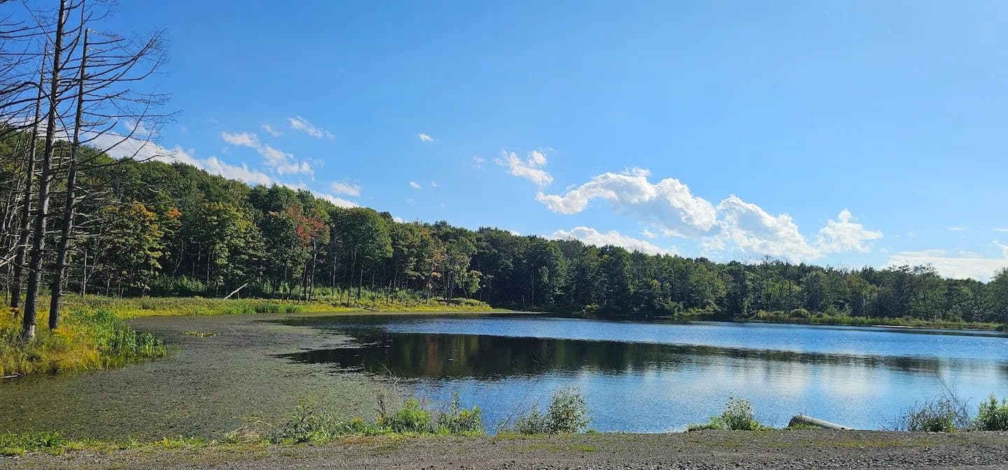 10 acre Building Site with Pond in Richford NY Creamery Rd - Richford, New York, 13835