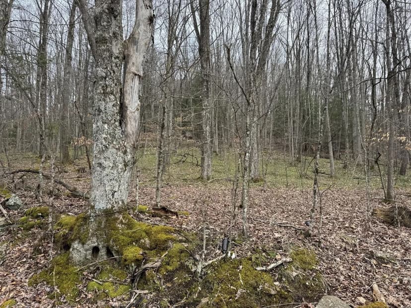 Lots & Land-Other in Craigsville