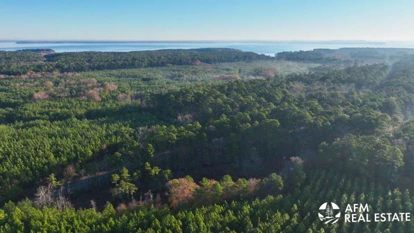 Alpine Wood - Tract F