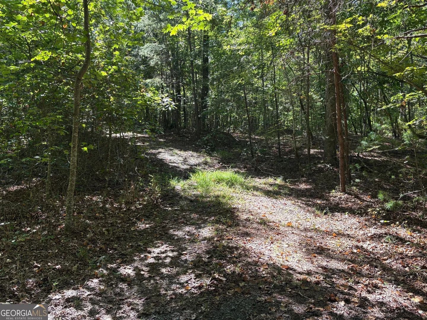 Lots & Land-Other in Ellijay - Ellijay, Georgia, 30540
