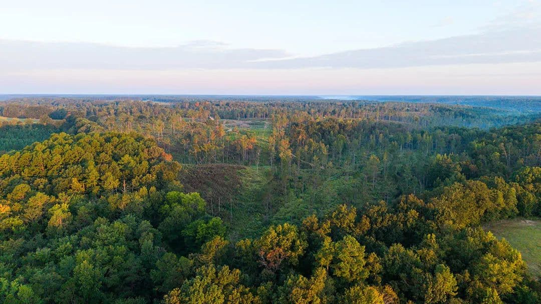 242.5 Acres in Wayne County, TN  - Lutts, Tennessee, 38471