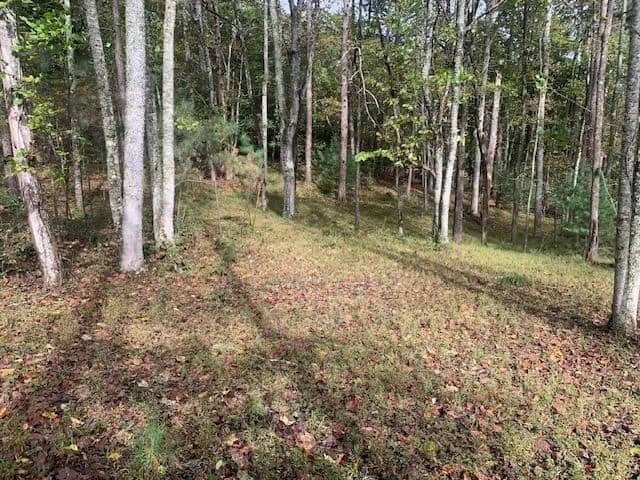 Lots & Land-Other in Blairsville - Blairsville, Georgia, 30512