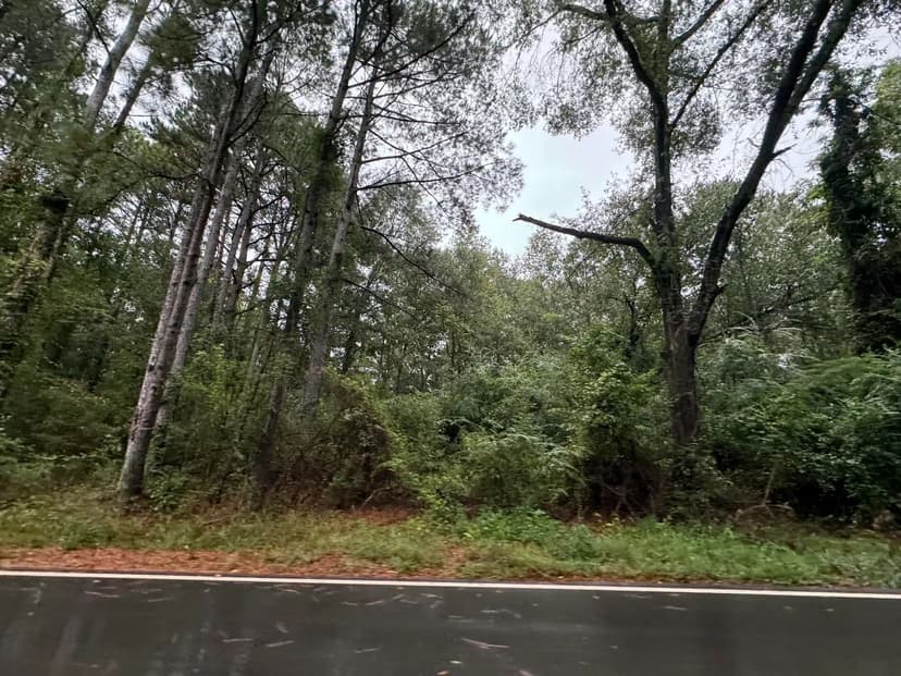 Property from 0 Camp 8 Rd. - KW