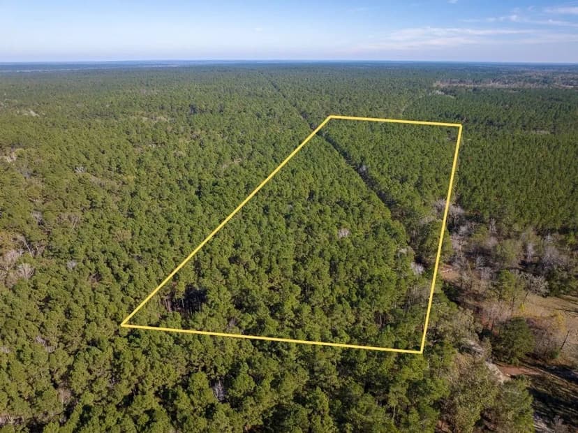 16 Acres | Adjoins National Forest