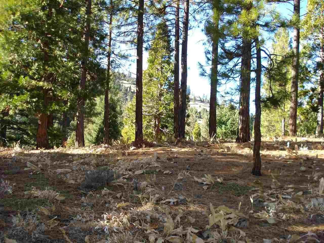 Vacant Land in Portola - Portola, California, 96122