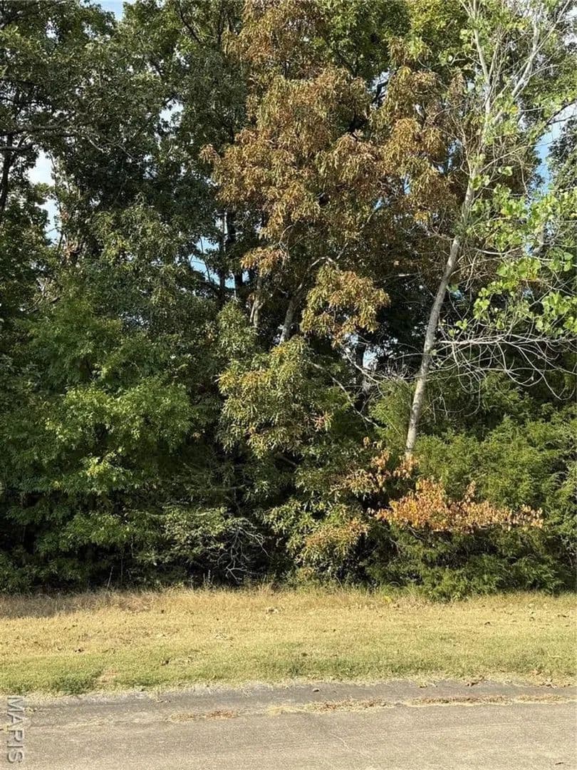 Residential Lot For Sale in Poplar Bluff, MO - Poplar Bluff, Missouri, 63901