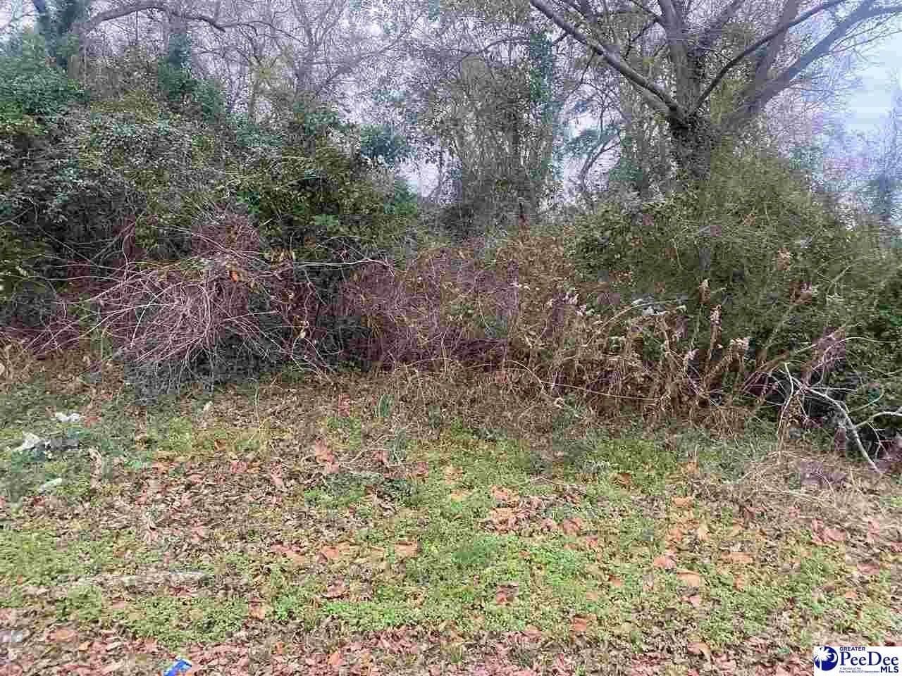 Lots & Land-Other in Florence - Florence, South Carolina, 29506