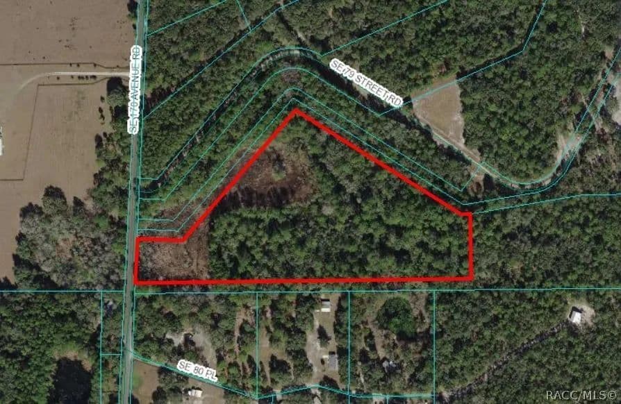 Lots & Land-Other in Ocklawaha - Ocklawaha, Florida, 32179
