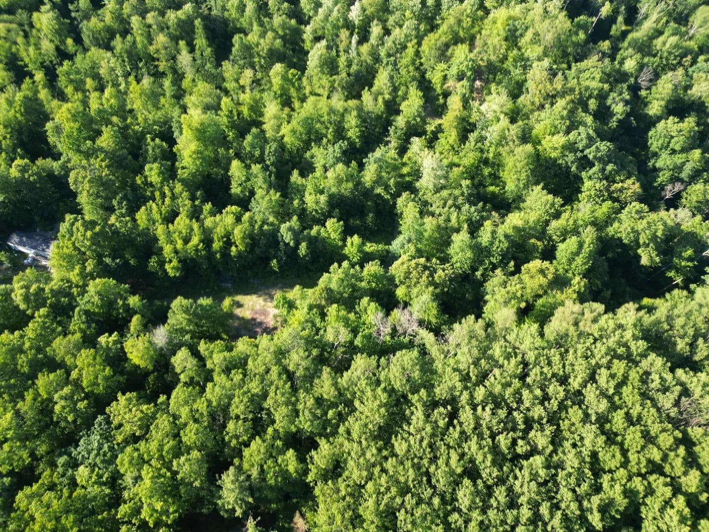 Property from 5170 Rocky Top Parcel C Lane - KW - Pierson, Michigan, 49339