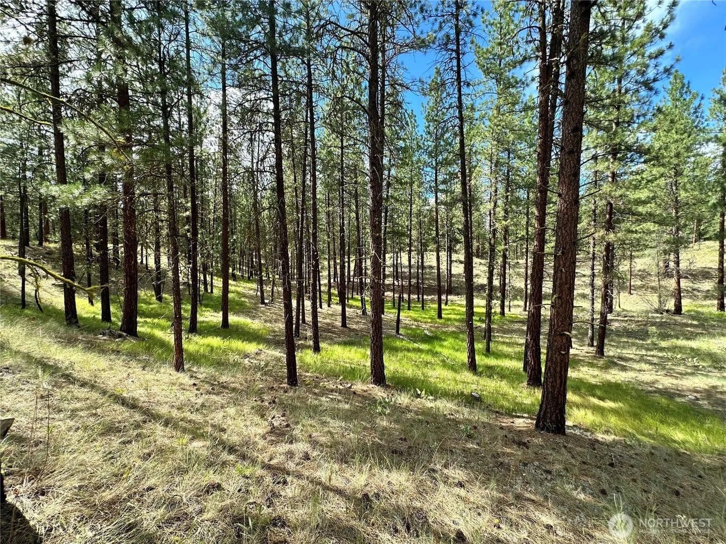Lots & Land-Other in Winthrop - Winthrop, Washington, 98862