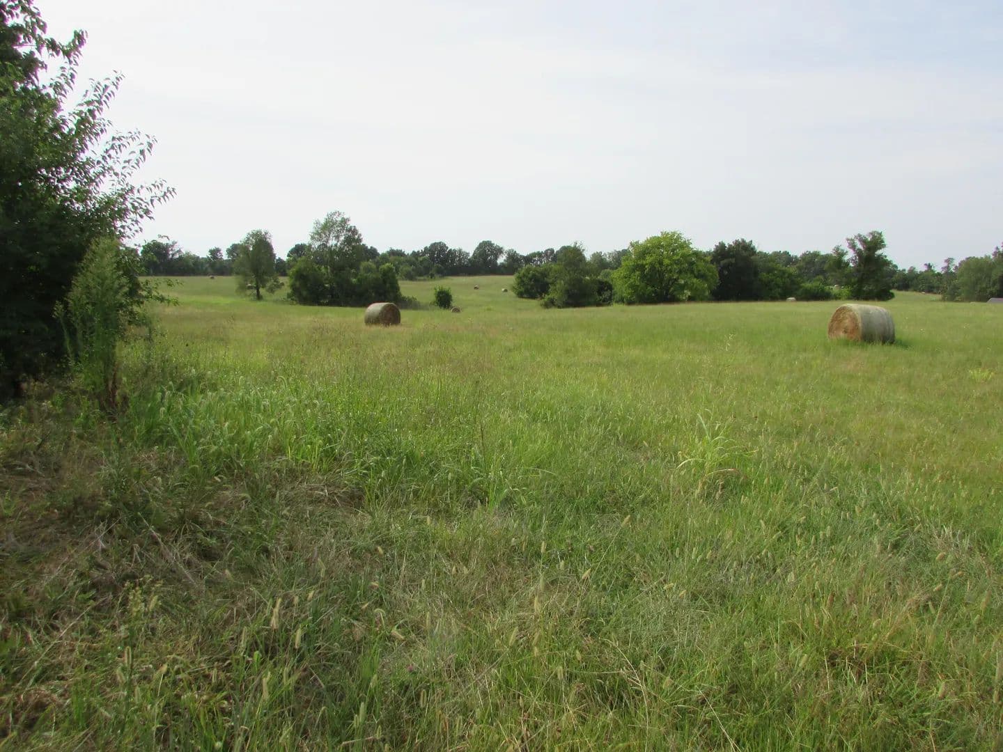 Lots & Land-Other in Republic - Republic, Missouri, 65738