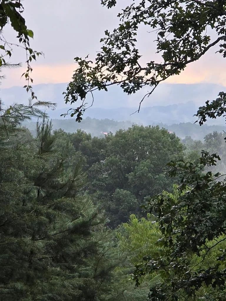 Lots & Land-Other in Blairsville - Blairsville, Georgia, 30512