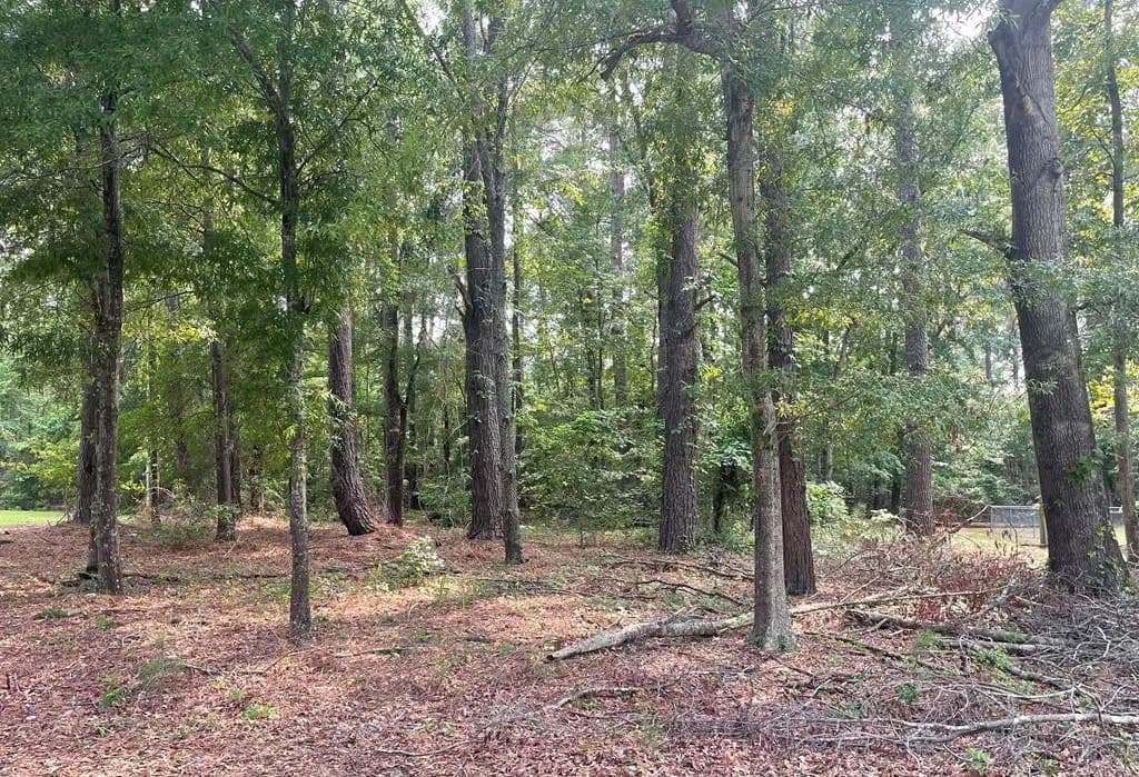 Lots & Land-Other in Summerton - Summerton, South Carolina, 29048