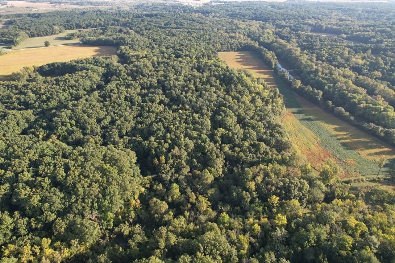 85 Acre Coles County, IL - Charleston, Illinois, 61920