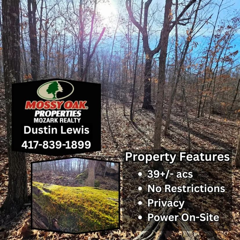 39± Acres – Build, Hunt, or Invest