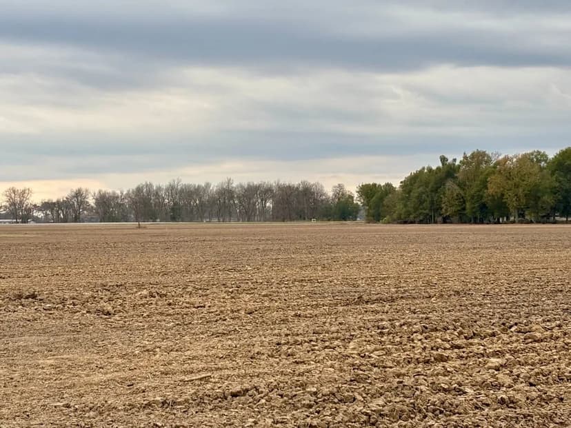 125+/- acres of Precision Leveled and Irrigated Farmland in Tensas Parish