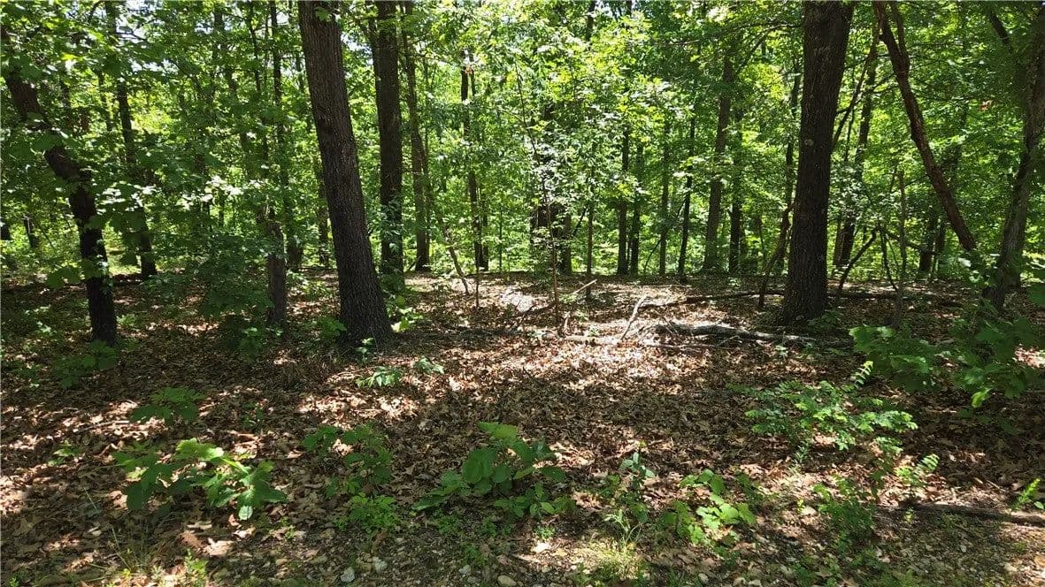 Lots & Land-Other in Bella Vista - Bella Vista, Arkansas, 72715