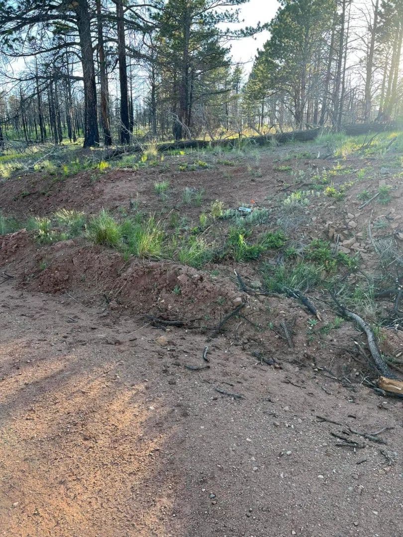 lot 542 Forbes Park, Ft. Garland, CO 81133 - Fort Garland, Colorado, 81133