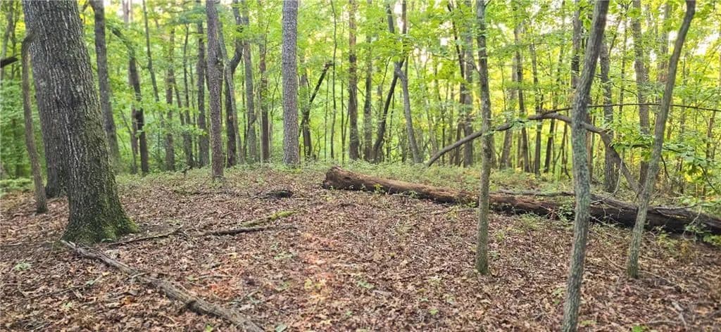 3.92 Acres of Land for Sale in Clarkesville, GA - Clarkesville, Georgia, 30523
