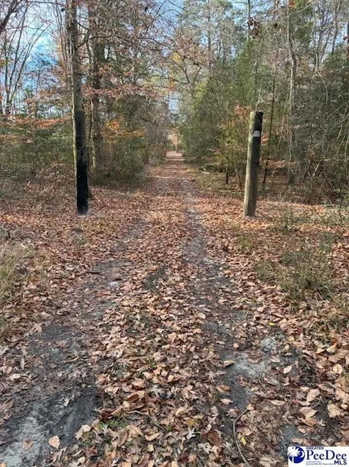 Lots & Land-Other in Florence - Florence, South Carolina, 29501