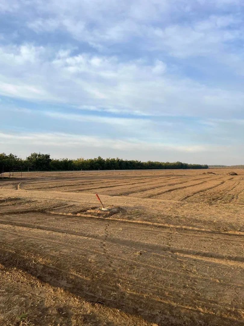 Lots & Land-Other in Porterville