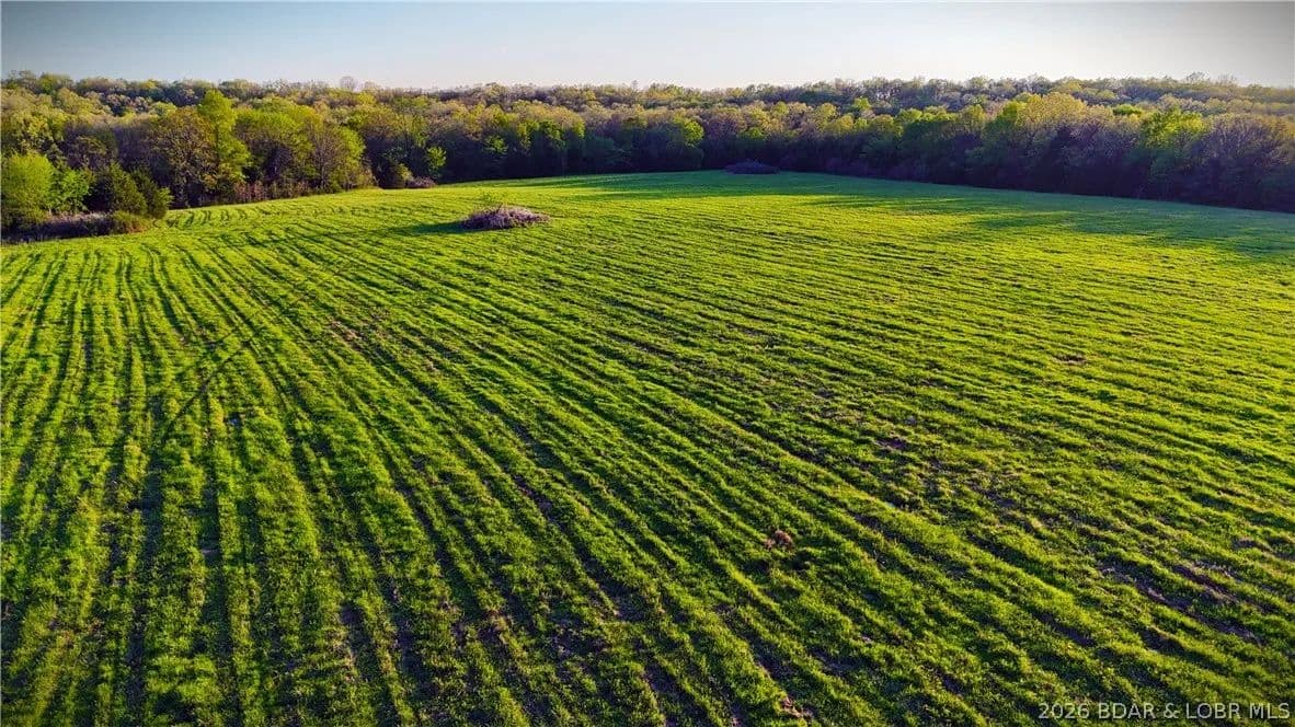 197 Acres of Land for Sale in Crocker, MO - Crocker, Missouri, 65452