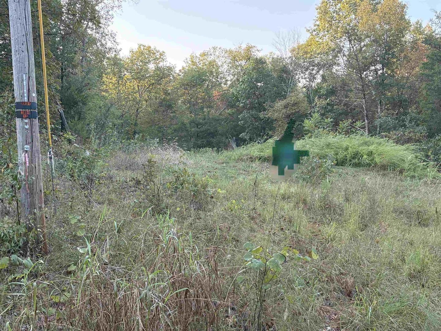 Lots & Land-Other in Hardy - Hardy, Arkansas, 725428827