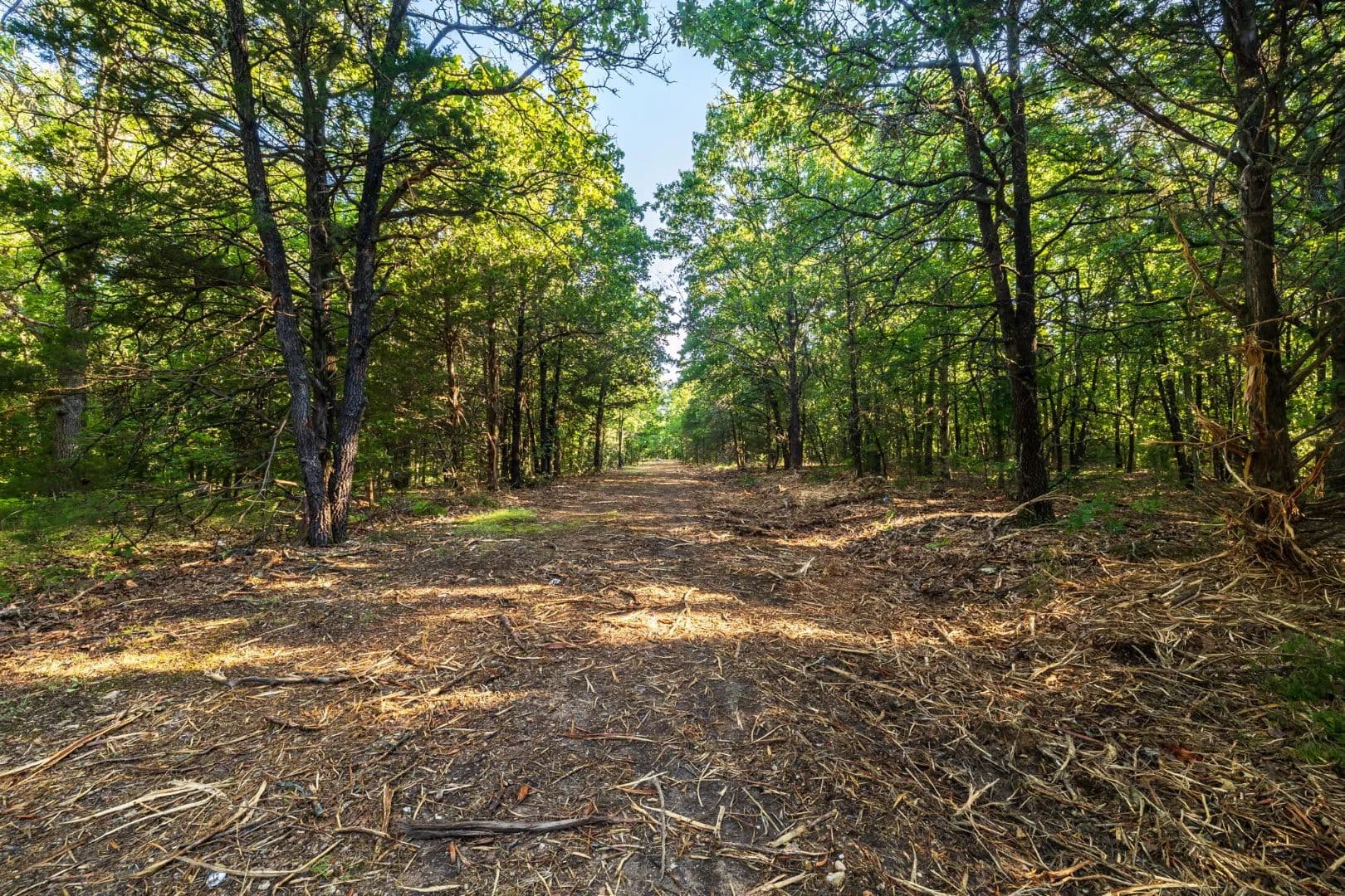 Missouri Ozarks Retreat: 21.28± Acres of Wooded Seclusion – St. Clair County - Osceola, Missouri, 64776