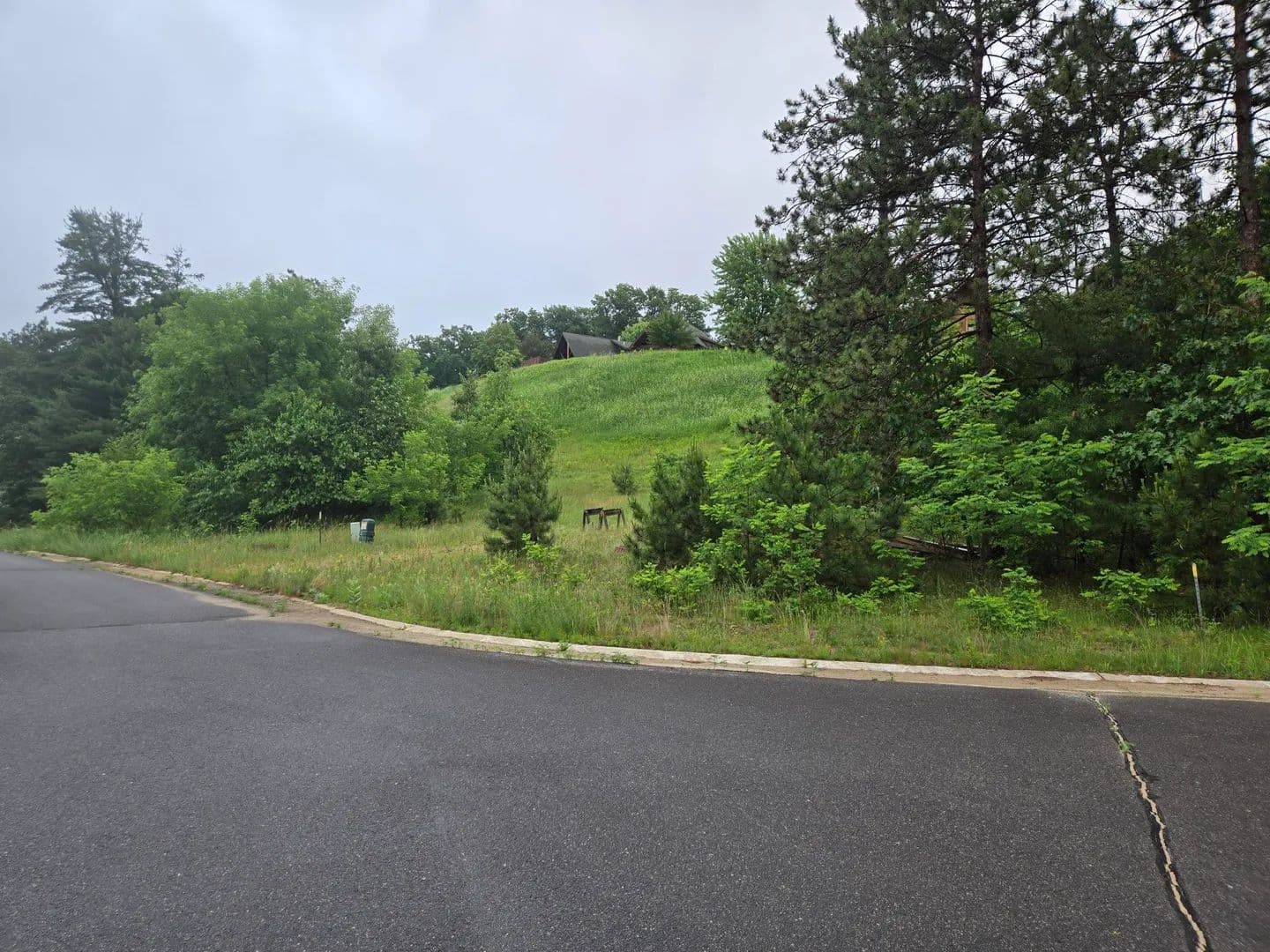 Vacant Land in Warrens - Warrens, Wisconsin, 54666