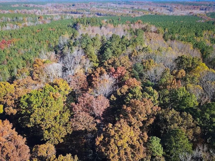 UNDER CONTRACT!!  15 Acres of Mixed Timberland in Dinwiddie County Virginia!