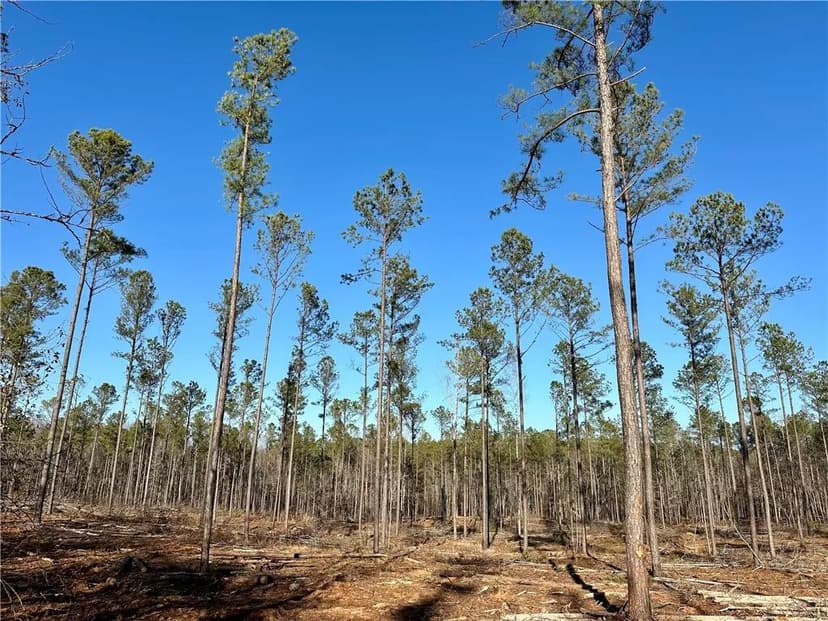 Property from 0 LEE ROAD 278 - KW