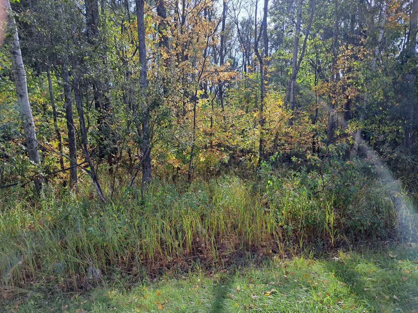 Vacant Land (10+ Acres) in Sturgeon Bay - Sturgeon Bay, Wisconsin, 54235