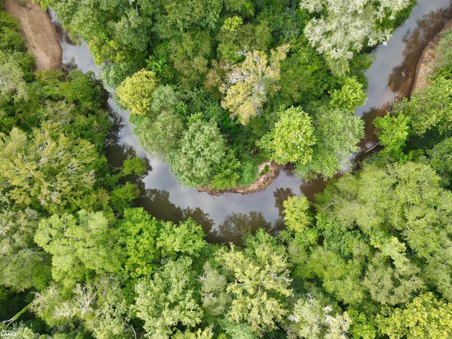 Bassett Creek Hunting Tract & Timber Investment - Jackson, Alabama, 36545