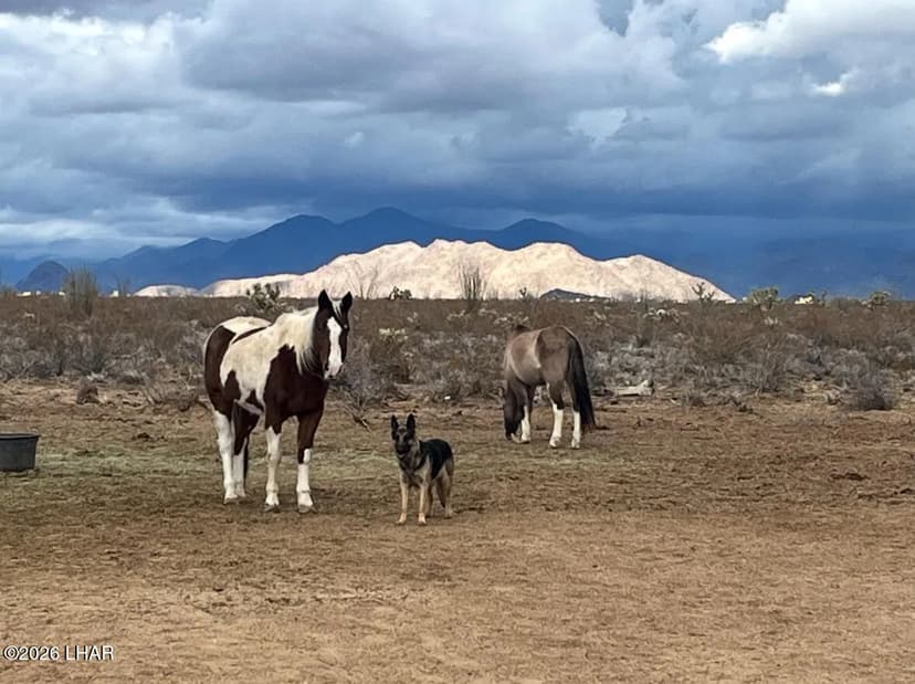 Property from 18206 S Gene Autry Rd - KW