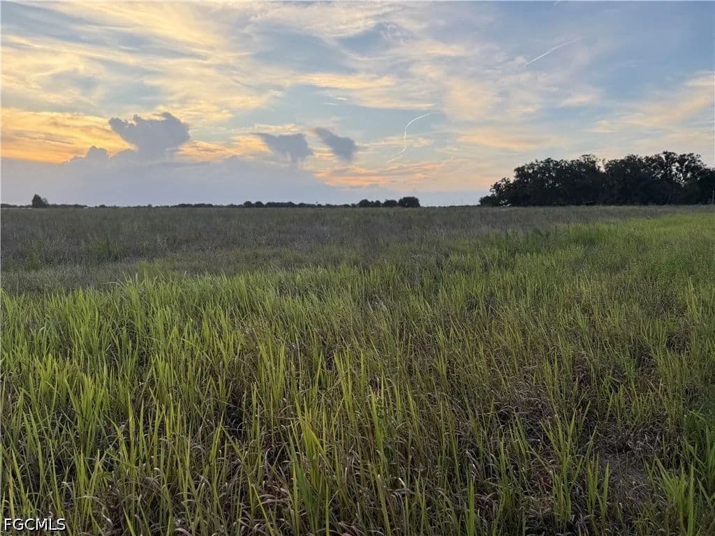 30.06 Acres of Land for Sale in Zolfo Springs, Florida - Zolfo Springs, Florida, 33890