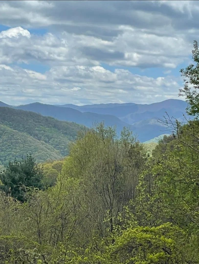 Lots & Land-Other in Leicester - Leicester, North Carolina, 28748