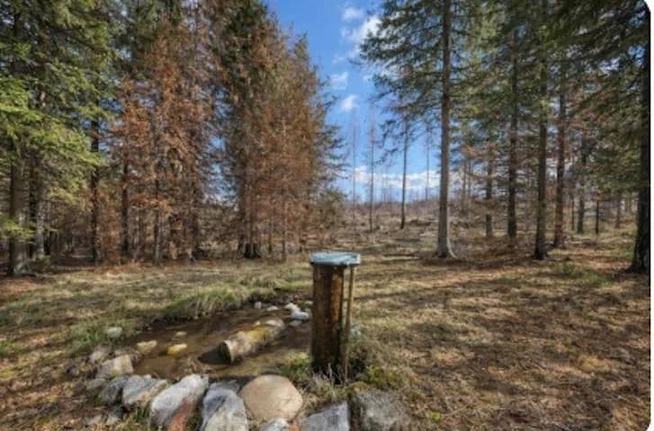 Property from 2433 B Widow Rd - KW