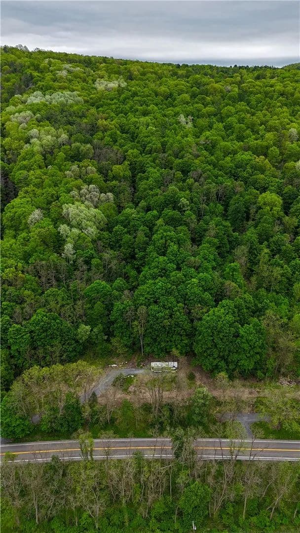 Property from 1937 State Route 245 - KW