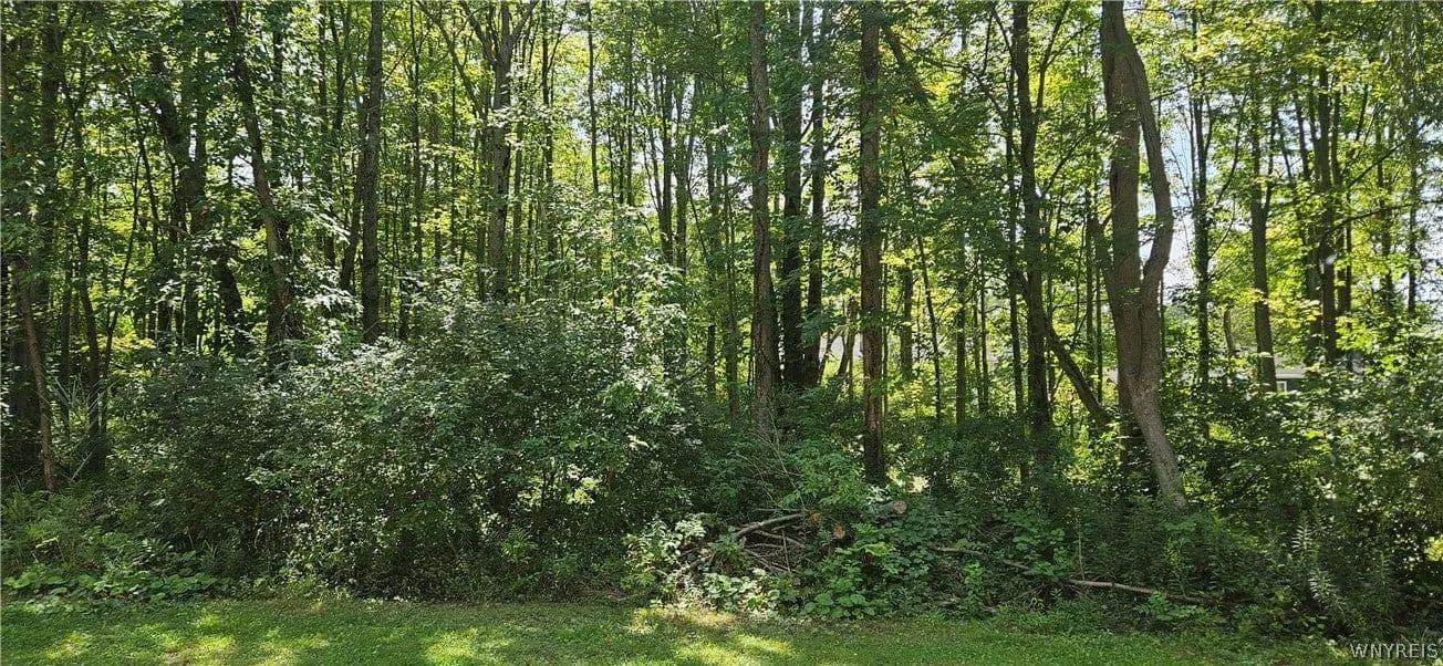 Lots & Land-Other in Angola - Angola, New York, 14006