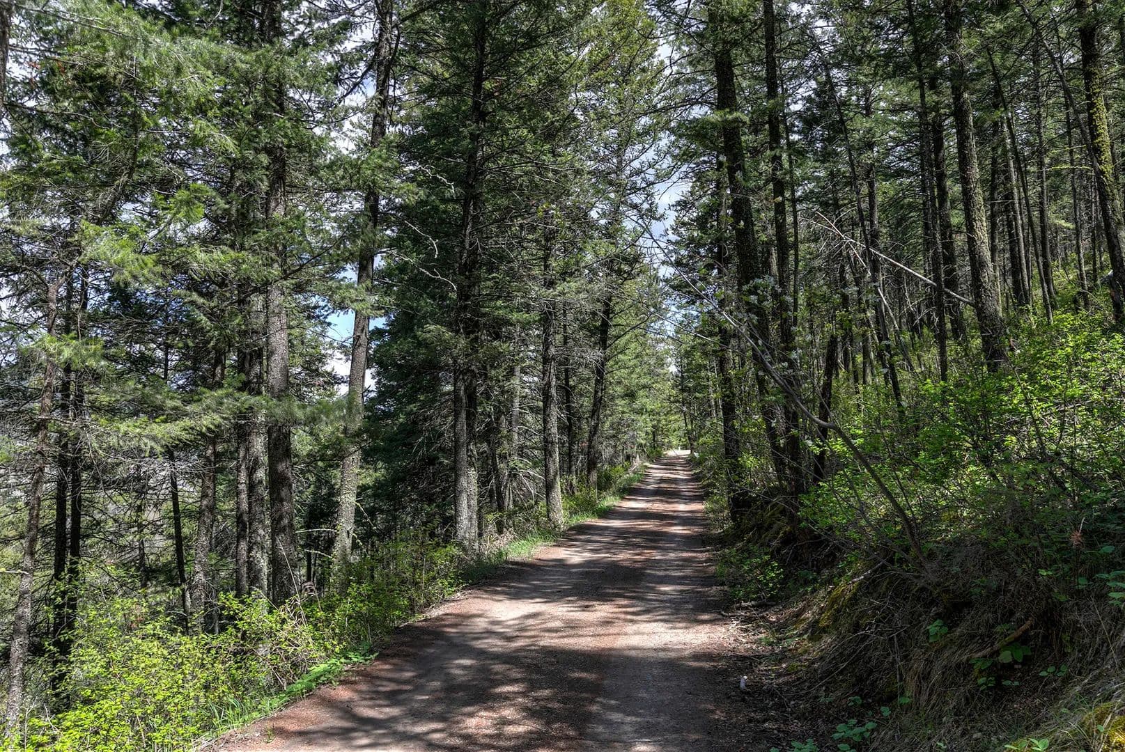 Land -Single Family Acreage in Lolo - Lolo, Montana, 59847