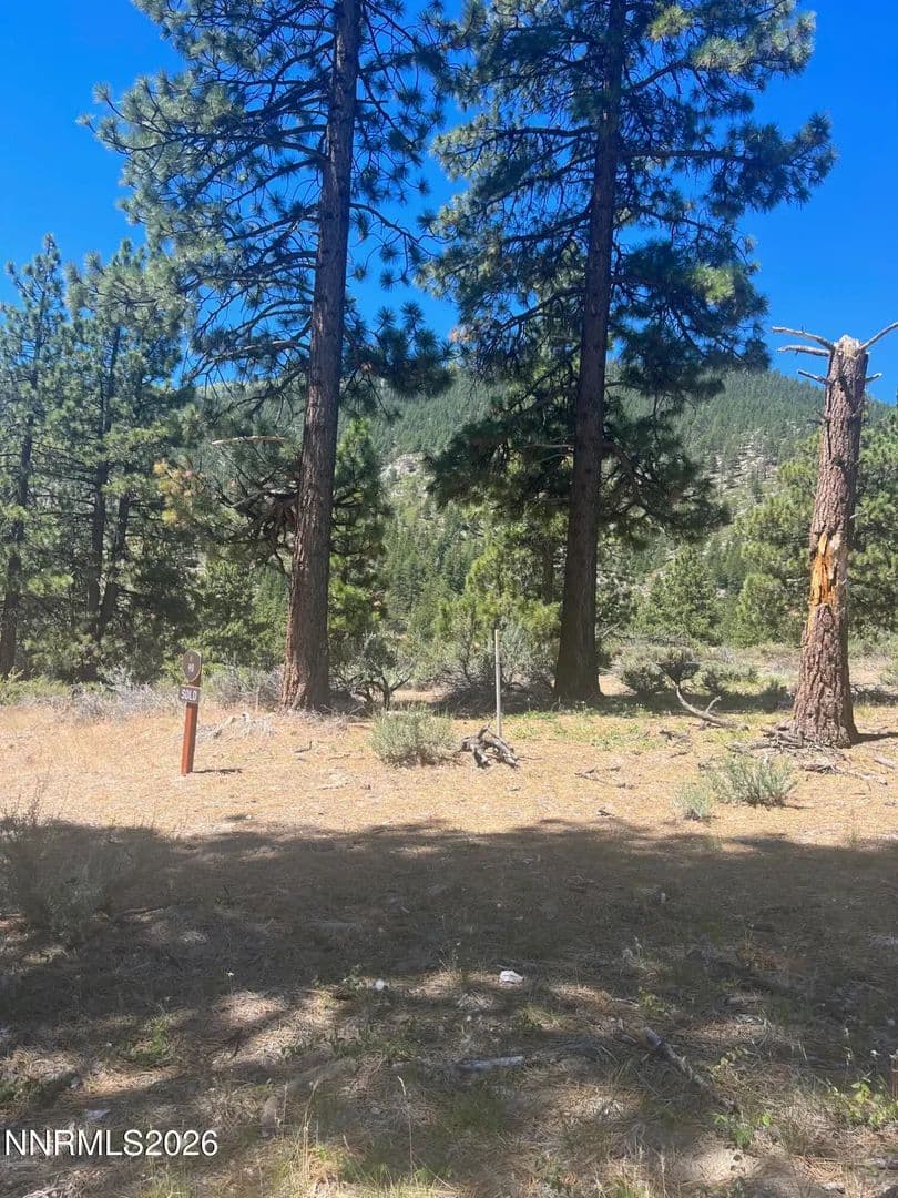 0.6 Acres of Land for Sale in Carson City, NV - Carson City, Nevada, 89705
