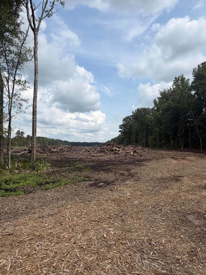 Lots & Land-Other in Summerville - Summerville, South Carolina, 29483