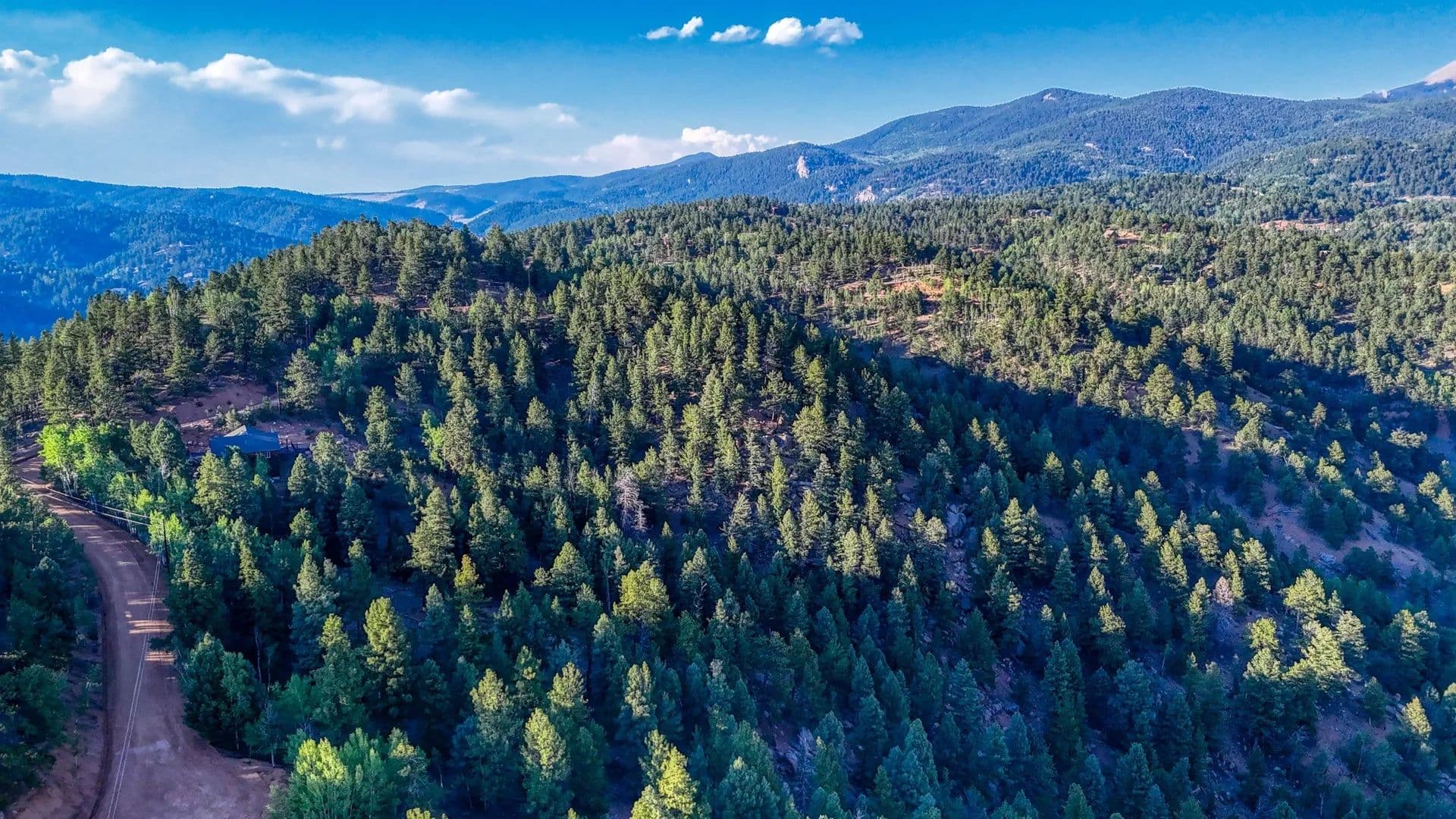 Vacant Land in Divide - Divide, Colorado, 80814