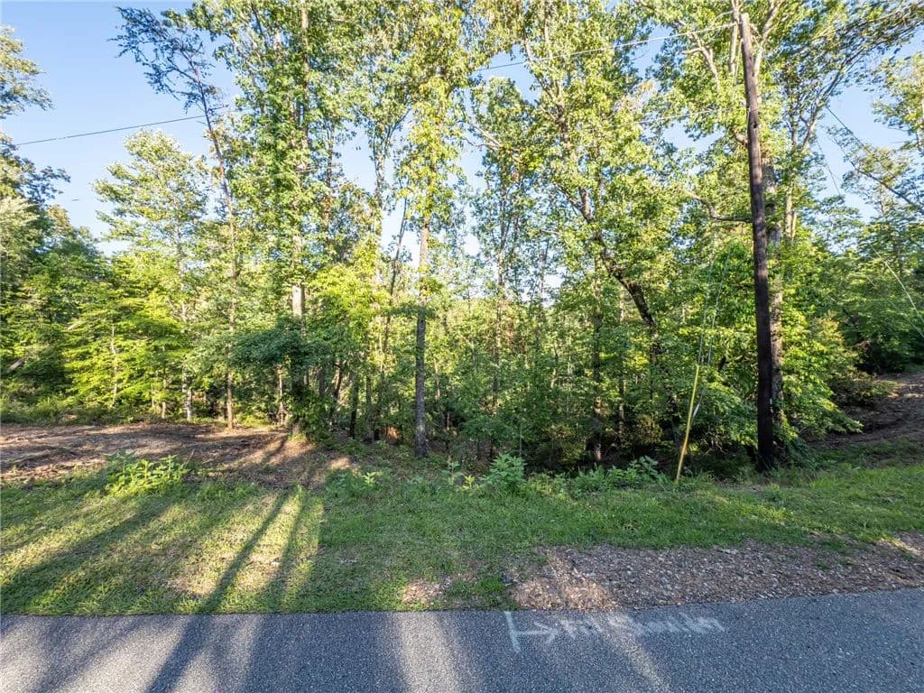 Vacant Land in Sunset - Sunset, South Carolina, 29685