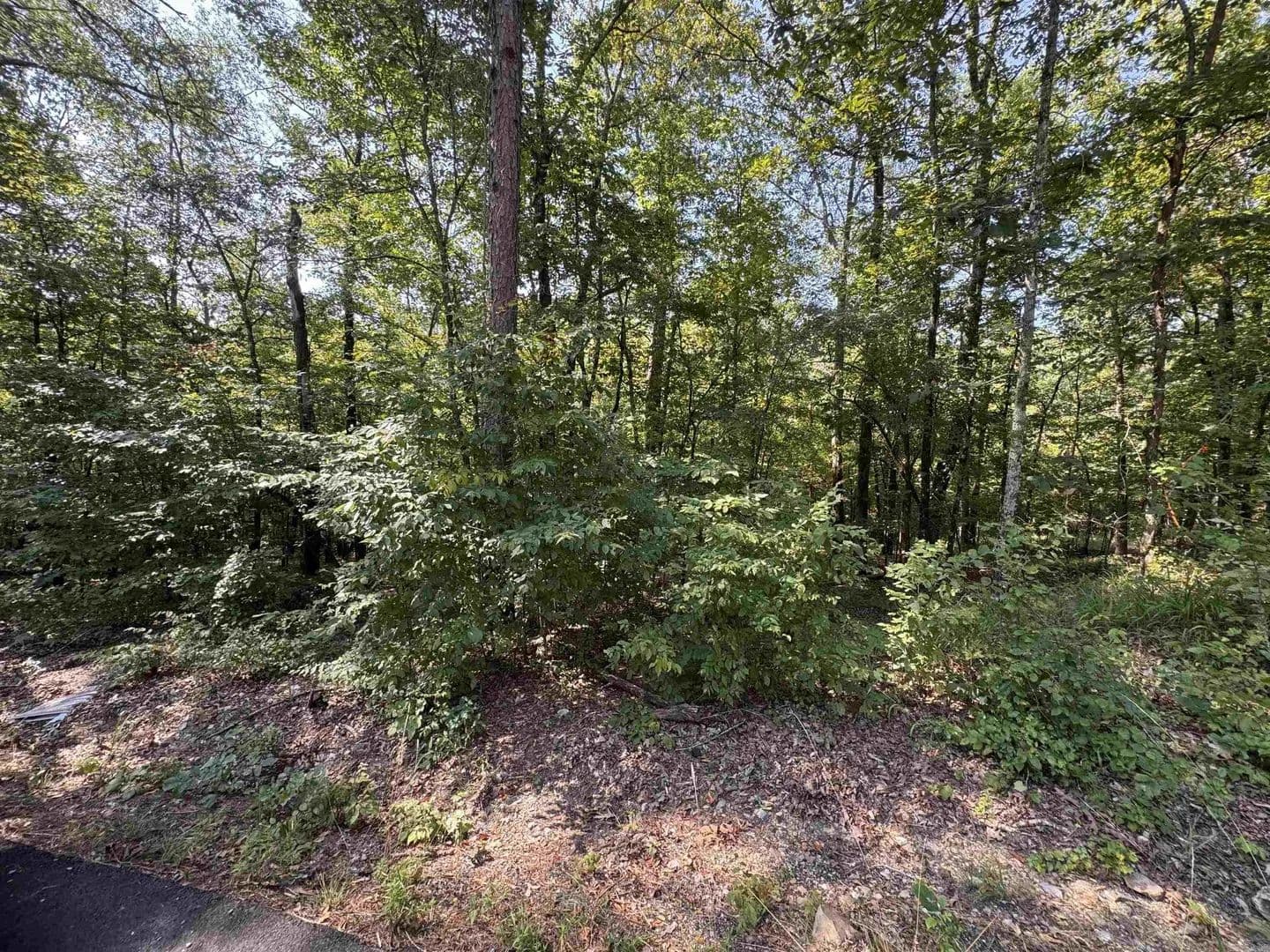 Lots & Land-Other in Royal - Royal, Arkansas, 72150