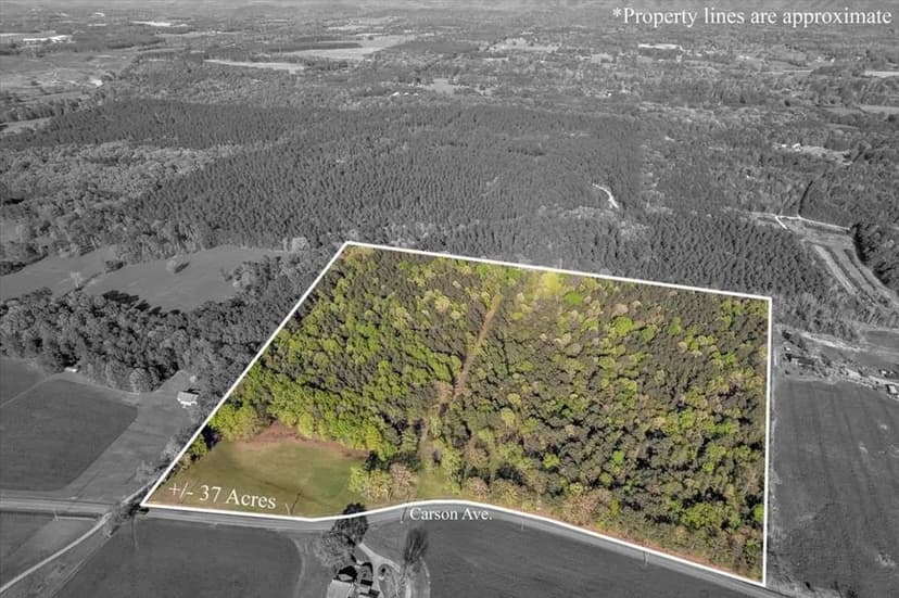 Property from 37 Acres Carson Avenue - KW