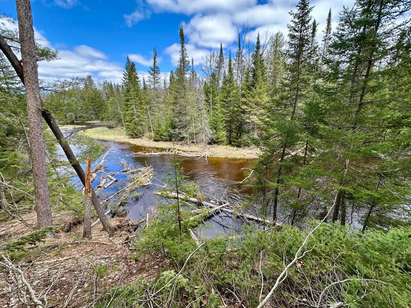 Vacant Land in Indian River - Indian River, Michigan, 49749