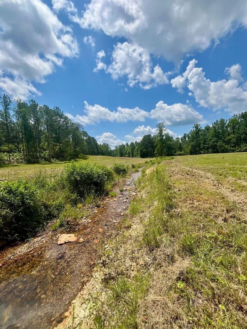 101 +/- Acres | Recreation, Creeks, and Homesites | Randolph County - Wadley, Alabama, 36276