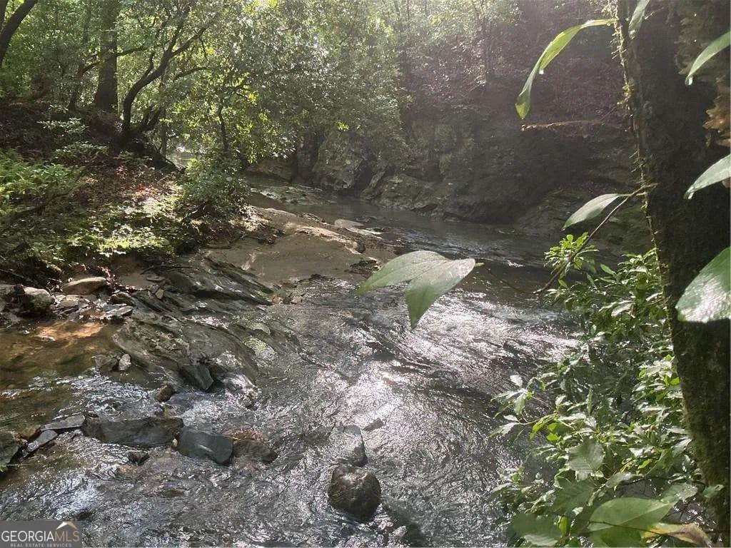 18.39 Acres of Land for Sale in Dawsonville, Georgia - Dawsonville, Georgia, 30534