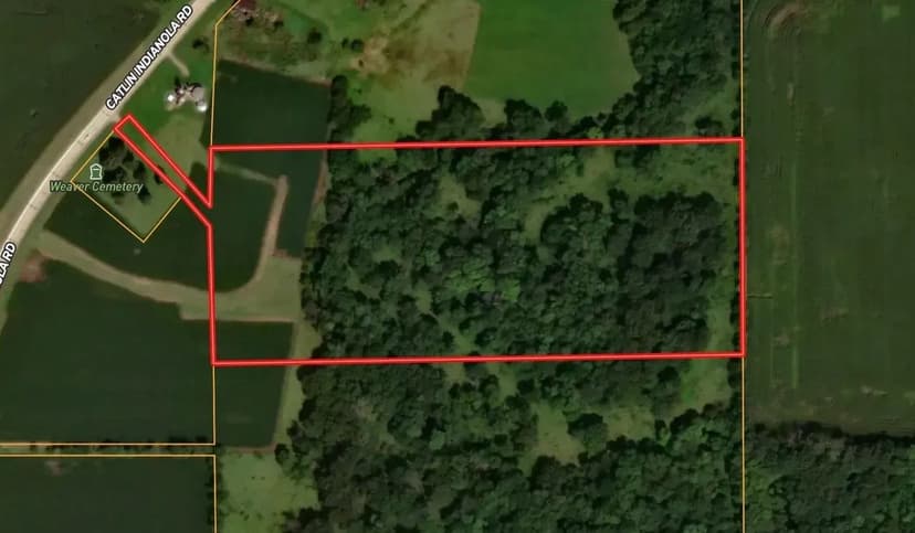 16.57 Wooded Acres for Hunting